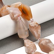Натуральные вишневые агатовые бусины G-NH0005-B01-01