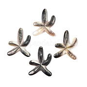 Подвески из морской оболочки SSHEL-Q297-56