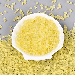 Perline di vetro trasparente satinato fgb&nbsp;SEED-N013-05A-02