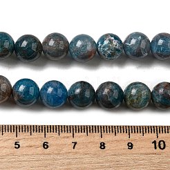 Природного апатита нитей бисера G-D340-A02-10mm