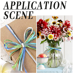 Сегментированные окрашенные шнуры из рафии для поделок своими руками&nbsp;OCOR-WH20020-27B