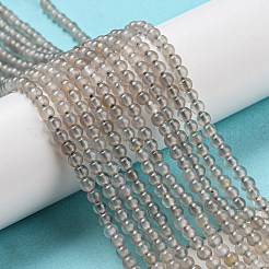 Серые натуральные бусины из агата &nbsp;G-Q004-B01-02