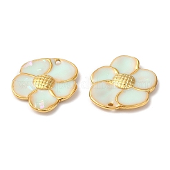 Подвески из нержавеющей стали 304 с эмалью&nbsp;STAS-K256-01G-02