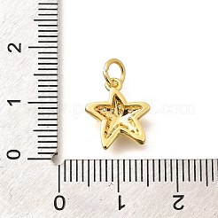 Pendenti in zirconi cubici trasparenti in micro pavè di ottone&nbsp;LS-KK-Q040-01F-G