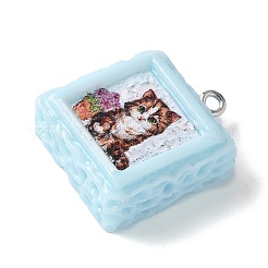 Подвески из непрозрачной смолы X-RESI-Z033-02P-A