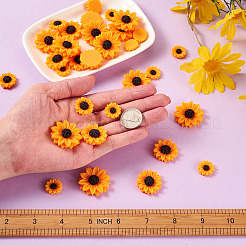 Кабошоны из смолы в стиле 100 шт. CRES-CD0001-01