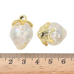 Прозрачные акриловые подвески&nbsp;OACR-I021-02C