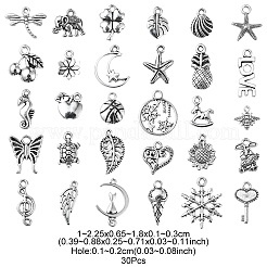 30 шт. 30 стиля подвески из сплава в тибетском стиле TIBE-YW0001-04