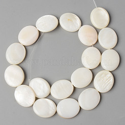 Naturali di acqua dolce perline shell fili&nbsp;SHEL-N026-70