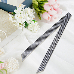 Ремни из полиэстера в полоску AJEW-WH20072-59A