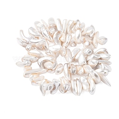 Жемчужные бусины с гальваническим покрытием BSHE-D301-01