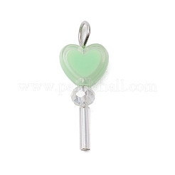 Подвески из акрила и стекла PALLOY-JF03521-01