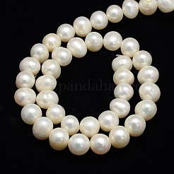 Brins de perles de culture d'eau douce naturelles&nbsp;PEAR-L001-C-07-01