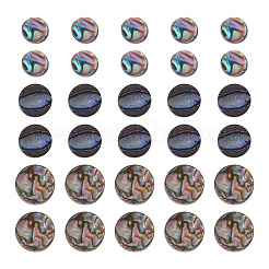 30個 3種類の天然パウア貝ビーズ  フラットラウンド  カラフル  6~10x2.5~3.5mm  穴：0.7~1mm  10個/スタイル&nbsp;BSHE-TA0001-36