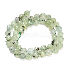Chapelets de perles en préhnite naturelle&nbsp;GG-CBA3921-B13-8mm