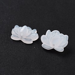 Акриловые бусины&nbsp;OACR-U001-05A