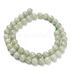 Натуральный майяр нефрит / бурманский нефрит бисерные пряди G-L642-B11-8mm