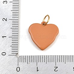 Pendentifs en acier inoxydable 304 peints au pistolet&nbsp;SA-CBA4A21-07G