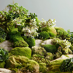 Полиэстер искусственный мох DIY-WH0589-75