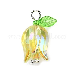 Акриловые подвески PALLOY-JF03534-02