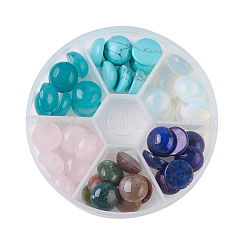 Natürlicher Rosenquarz & Lapislazuli & indischer Achat & weiße Jade & Opalit & synthetische Türkis-Cabochons&nbsp;G-JP0001-10-12mm