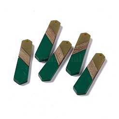 Подвески из непрозрачной смолы и ореха RESI-M027-06I