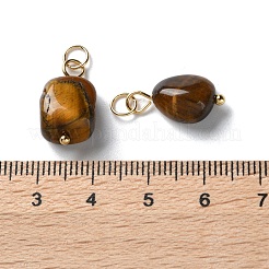 Природных тигровый глаз подвески STAS-C120-07G