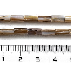 Нити бусин из натуральных пресноводных ракушек BSHE-G038-02