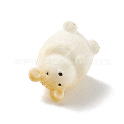 Мини-декорации из смолы DJEW-G026-13