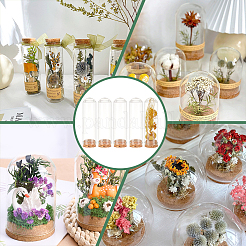 10 шт пустые стеклянные пробирки AJEW-BC0006-89