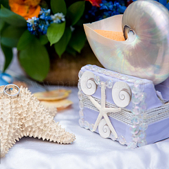 6 шт. натуральный кабошон из ракушки глаза шивы&nbsp;BSHE-FH0001-04