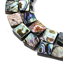 Природные пауа бусы нити BSHE-ZX006-07C