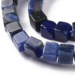 Perline sodalite naturale fili&nbsp;G-F631-K17