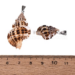 Ciondoli a spirale in ottone e conchiglia naturale&nbsp;SHEL-Q029-24P