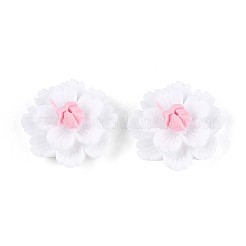 Смола декодирует кабошоны&nbsp;CRES-T025-04A