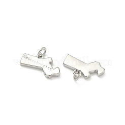 Messing Anhänger & Charms&nbsp;KK-D229-22K-P