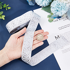 Этническая вышивка полиэстер плоские ленты OCOR-WH0060-37B