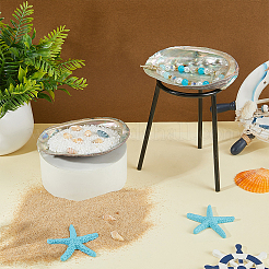 2 pièce de décoration d'affichage en coquille d'ormeau naturelle&nbsp;DIY-WR0005-29A