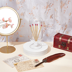 Стеклянный колпак из спичечной древесины с держателем для спичек&nbsp;AJEW-WH0816-334