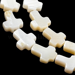 Нити бусин из натуральных пресноводных ракушек BSHE-G034-26