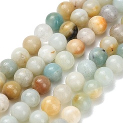 Натуральный цветок амазонитовые бусины пряди&nbsp;G-F826-C01-6mm