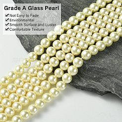 Экологичные бусины из стеклянного жемчуга X-HY-A008-8mm-RB003