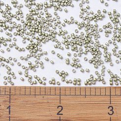 MIYUKIデリカビーズ  シリンダー  日本製シードビーズ  11/0  （db1181)亜鉛メッキ半霜アロエ  1.3x1.6mm  穴：0.8mm  約20000個/袋  100 G /袋&nbsp;SEED-J020-DB1181