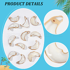 12 шт. подвески из натуральной морской ракушки SHEL-GA0001-29