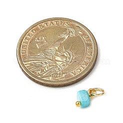 Подвески из натуральных окрашенных пресноводных ракушек&nbsp;PALLOY-JF04375-01