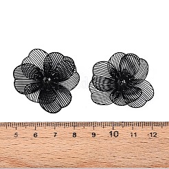 Окрашенные распылением железные колпачки&nbsp;IFIN-N013-05C