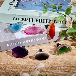 6 шт. 6 стиля зажимов для воздуховодов автомобиля из натурального агата HJEW-OC00061