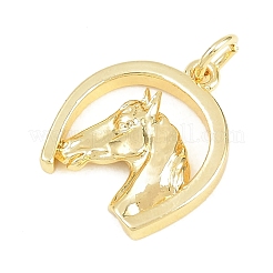 Pendentifs en laiton&nbsp;KK-D258-29G