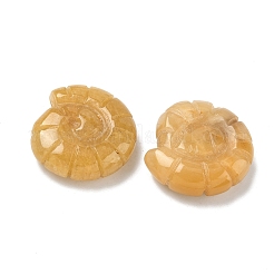 Декоративные раковины из натурального топаза и нефрита.&nbsp;DJEW-D303-01M