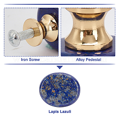 Ручки ящиков из натурального лазурита FIND-WH0056-40P-01